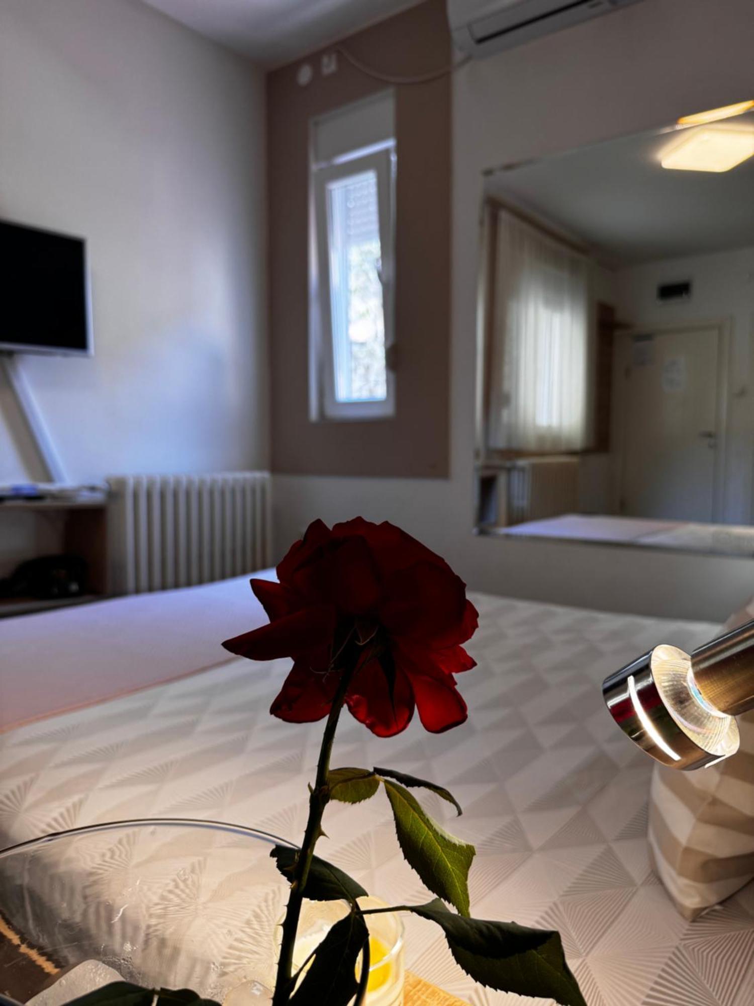 Post Apartmani A-1 Novi Sad Extérieur photo